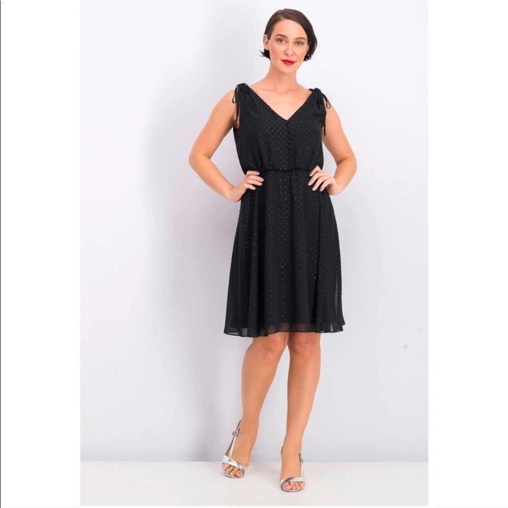 Gal Meets Glam Elora Black Swiss Dot Dress